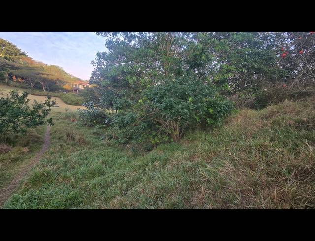 660M² VACANT LAND FOR SALE IN PALM LAKES ESTATE